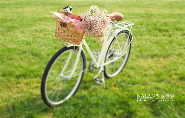 Panier pour vélo en vigne - Ref 2257244 Image 65