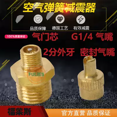 Valve core G1 4 gas nozzle 2-part external teeth G1 8 sealed blocking plug external 2-point threaded pipe pressure-tight air check valve