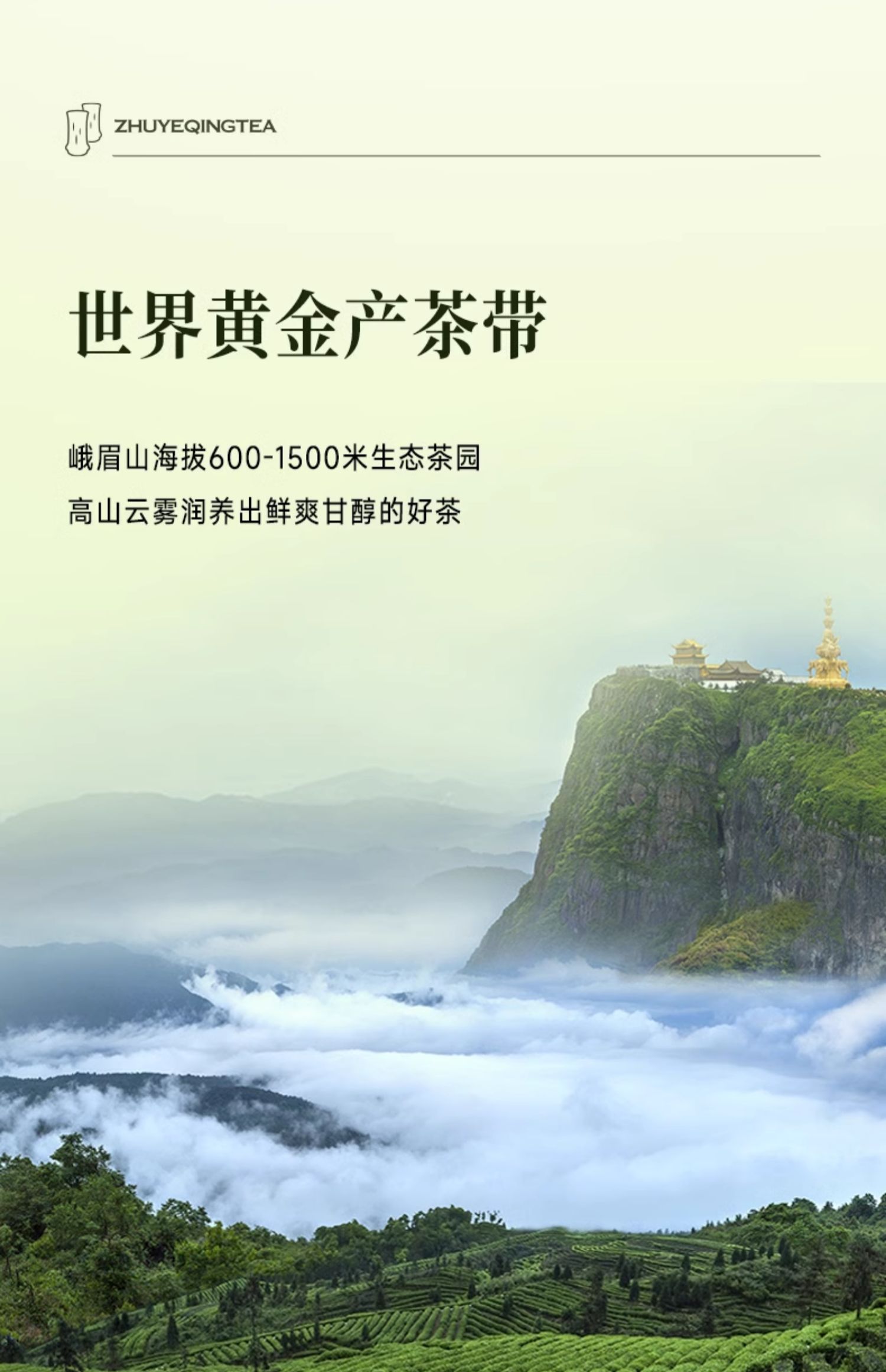 【中國直郵】竹葉青茶葉 25年峨眉高山綠茶 明前芽心特級 60g/盒