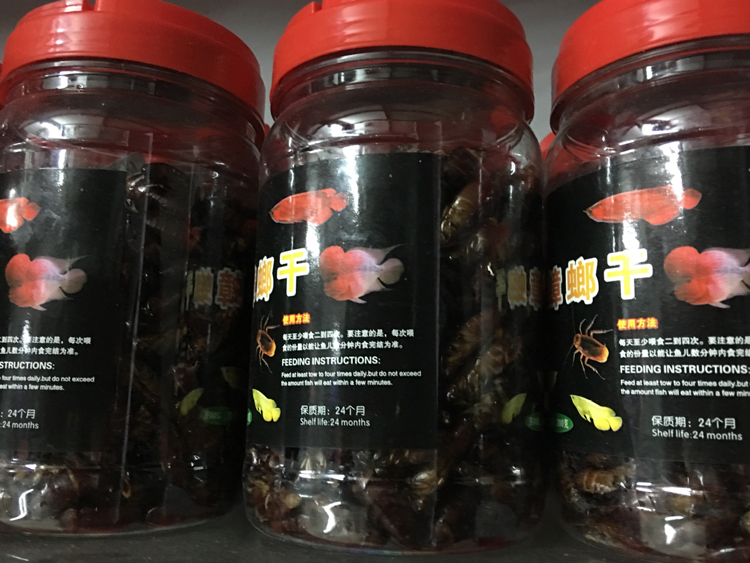 Forest cockroach dried red dragon feed lucky fish Luohan fish ornamental fish feed freeze-dried cockroach 200g