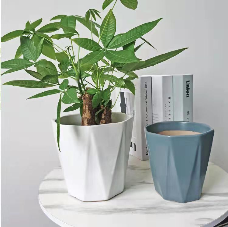 Large Ceramic Flower Pot with Tray, European-Style Simple White Succulent Pot, Special Clearance Sale