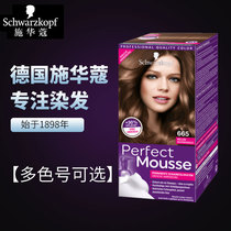 German purchase of Schwaxom plant dyed foam mousse pop color shade no ammonia without injury and gentle nourish