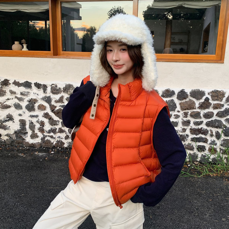 Super Stylish Stand-Collar Ribbed down Vest for Women, Short Style, 2026 New Korean Fashion, Loose-Fitting Warm Vest Jacket