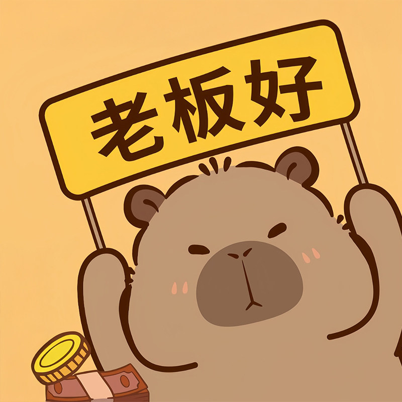 兰芯数码店
