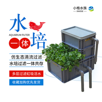 Xiaoge homemade ecological fish tank filter outdoor swamp hydroponic koi water circulation system filter box