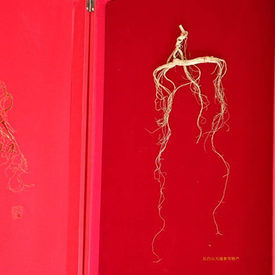 North East Changbai Mountain Wild Guangdong Sun Yang Mountain Guangdong Guanxin Forest Certificate Box