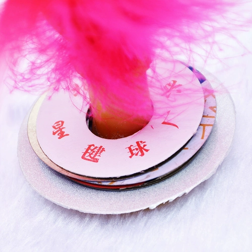 Большая фитнес -сестра -в трюк, куриные перья гусы