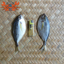 Optional 2 pieces of Nie-tailed salted fish dried shrimp pond fish dried Taishan fishermen flavor cured fish Guangdong small salted fish dried