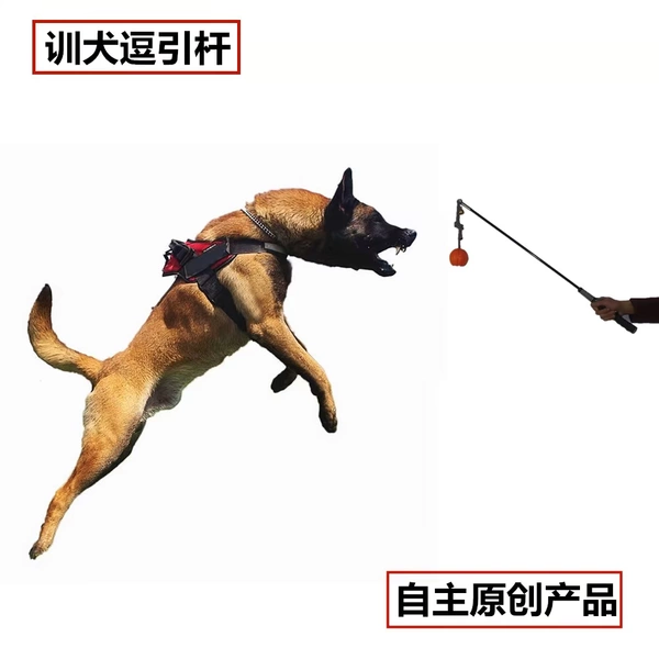 dog training supplies online