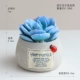 Blue Gemstone Lotus Potted