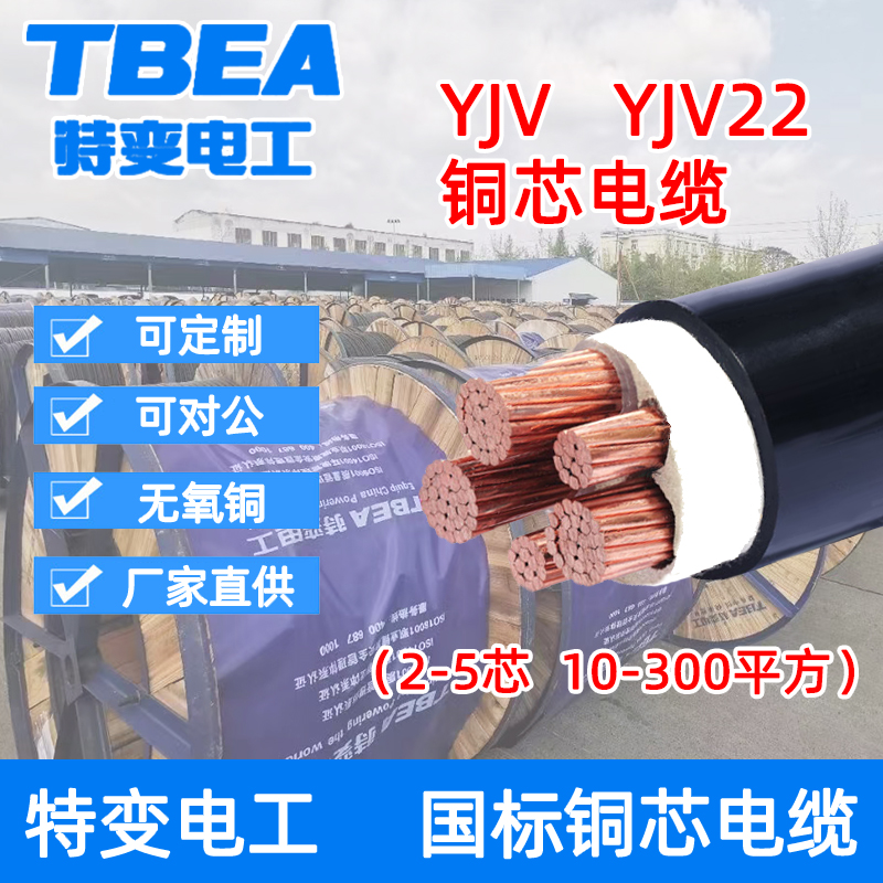 Techanged Electrician Wire & Cable National Standard Copper Core YJV YJV22 Charging Pile Cable 3 * 6 5 * 6 Squared Five Hearts Line-Taobao