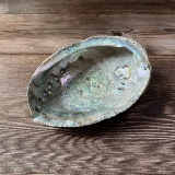 Мексиканский большой голубой раковина белый шалфей хвост с горящим дым