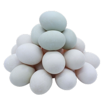 Authentic local duck eggs fresh duck eggs farm-raised free-range green shell duck eggs large fresh raw duck eggs 30 pieces whole box wholesale