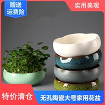 Brazilian wood basin aquatic aquatic plant flower pot hydroponic household ceramic decoration large large size good-looking Creative