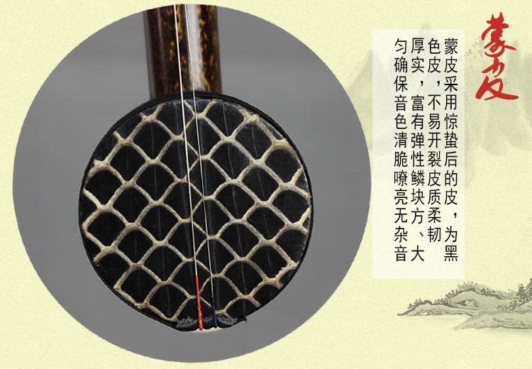 Jinghu nhạc cụ chuyên nghiệp chơi Liu Menghu Jinghu cao cấp Zizhu gỗ táo tàu tốt trục gỗ xipi hai màu vàng cung cấp đặc biệt - Nhạc cụ dân tộc sáo mèo
