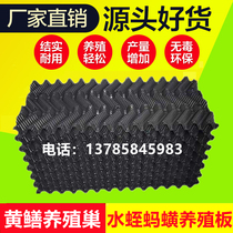 Eel Nest Eel Nest Artificial de reproduction Trough Leech Leech Leech Leech Leech Leech Plastic Tile Slab Clay Loach Eel Sprints Breeding Cave Nest