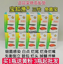 Baozhi fishing fish bacteria Bao ornamental fish medicine Bacterial infection rotten tail water mold blindfolded mouth cotton disease Ornamental fish treatment