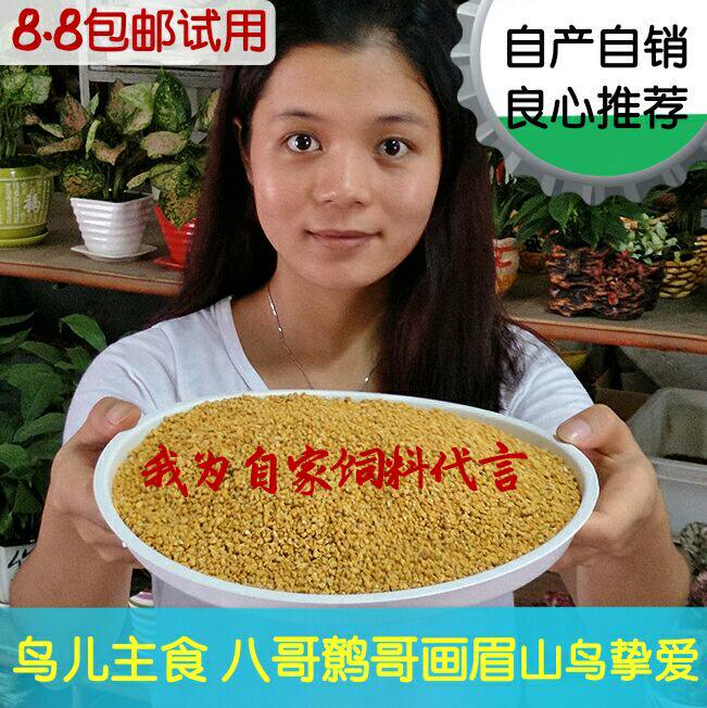 Homemade Bird Food and Bird Food Eight Gwrens Painted Eyebrows Magpie magpie feed small denier medium egg fried egg stock