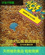 Parrot feed farmers have shells of red millet sorghum Xuanfeng peony sunflower tiger skin feed 500g full 5 pounds