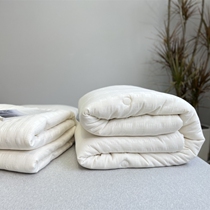 Genuine Li Guanqi 35% soybean fiber quilt spring and autumn quilt single children winter quilt 1 5 students quilt warm Japanese style