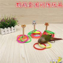 Medium and large parrot educational toy ring training Interactive Intelligence development toy pet bird toy supplies