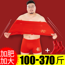 Fat plus size Year of the Ox Modell year of Life underwear Fat man red mens shorts flat angle middle-aged fat guy