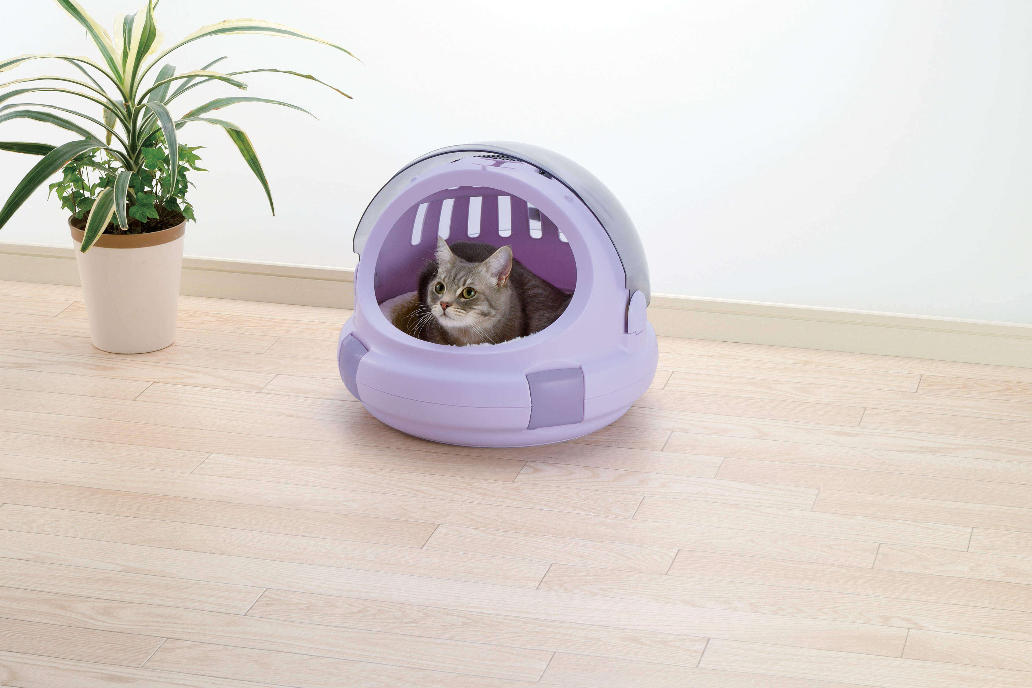Japan Imports Lil Purple Kitty Air Box Four Seasons Cat Nest Space Cabin Lift Basket Pet Package Recommended On-board