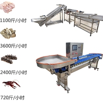 Sea cucumber weighing sorter oyster automatic sorting machine grading equipment fish size oyster weight sorter