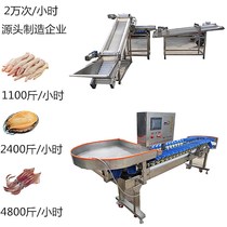 Deposit manufacturers weighing sea cucumber fruit sorting machine oyster weight sorting machine sorting machine fruit sorting machine equipment