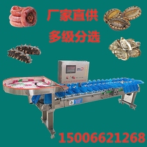 Weight sorter Sea cucumber and seafood weighing sorter Automatic turntable multi-stage sorting line material box