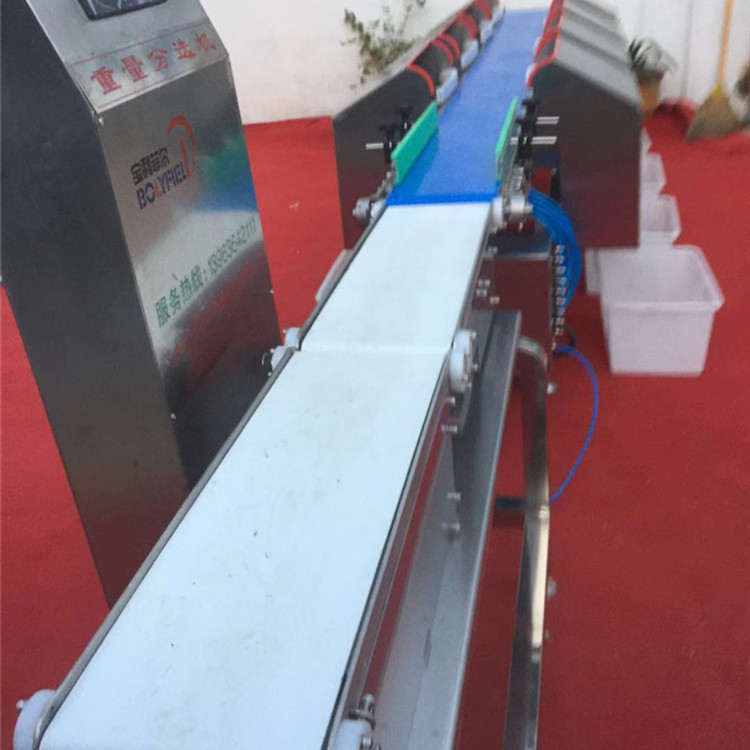 Checkweighing sorting machine fish grading machine without artificial automatic high-precision shrimp weight sorting machine quantitative weighing machine
