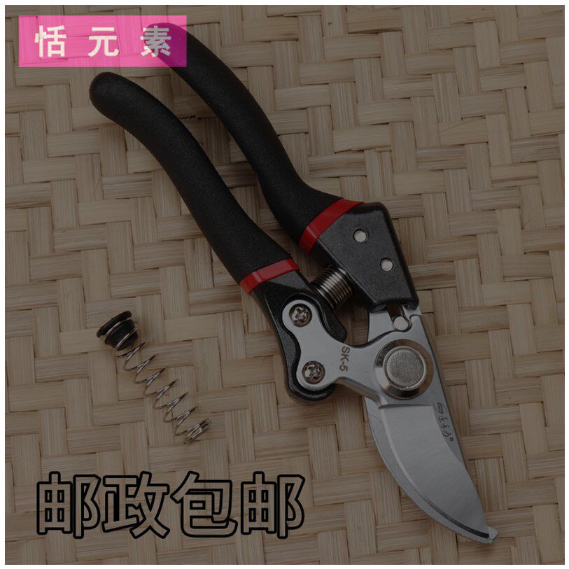 Large pruning fruit tree scissors strong fruit branch shears SK5 high carbon steel coarse branch shears agricultural branch shear garden art scissors