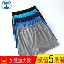  Plus size loose mens cotton boxer high waist four-corner panties breathable fat guy middle-aged and elderly shorts head dad