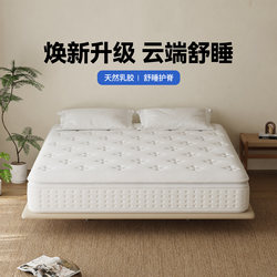 Haima Ruijing Home Bedroom Lumbar Support Jute Coconut Palm Mattress with Independent Springs and Hardening Technology, Same Model as Used in Five-Star Hotels