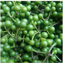 Now pick Hunan Huaihua Tongtong fresh wood ginger wild mountain pepper wood pulp mountain Cangzi wood Jiangzi Mountain warehouse