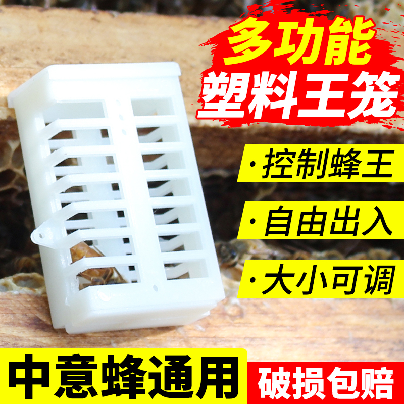 Special tools for bee multi-functional anti-escape bee in the bee of the king bee cage of the bee in the bee of the king bee