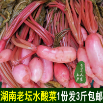 Radish head Old altar water Pickles Hunan Huaihua Yuanling specialty farm appetizer rice Pickles
