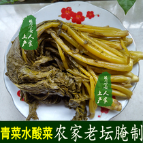 Green vegetables radish water pickles Yuanling specialties local products sour pickles pickles pickles Rice