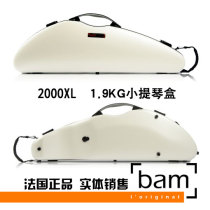 French Bam violin box with violin box Hightech 2000XL 1 9KG Carbon fiber white