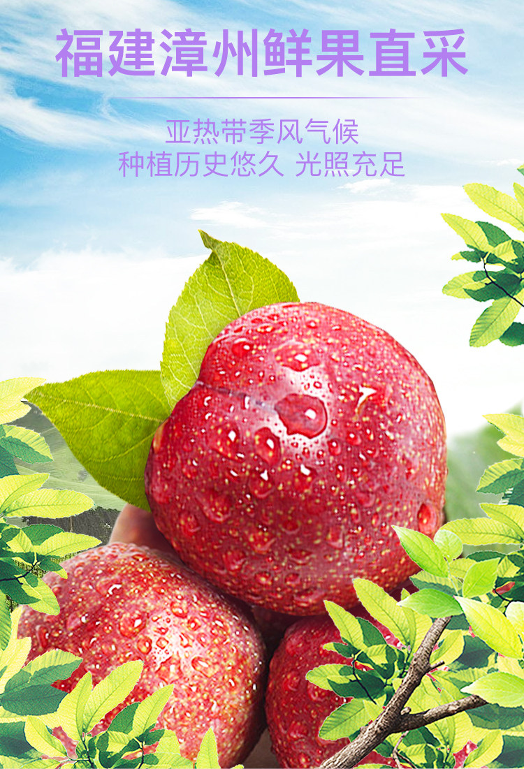 天喔食品 天喔   韩话梅 无核 160 克