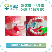 Sprouts help children with baby teeth molds