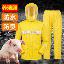 Farm protective clothing deodorant special work clothes feeding pig clothes pig factory anti-fouling split-resistant dirty breeding isolation