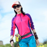 9169 Purple Rose Red