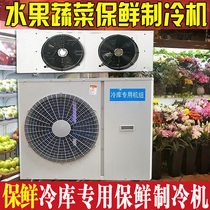 Cold storage refrigeration Small cold storage refrigerator full set of equipment refrigerated preservation library Flowers vegetables and fruits preservation unit