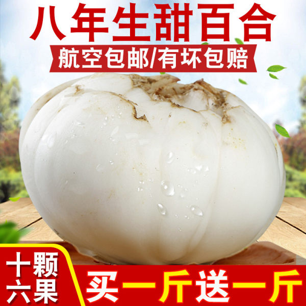 兰州特产 陇卉 八年生新鲜甜百合 500g*2袋 双重优惠折后￥30.8包邮