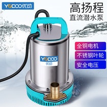 DC submersible pump 12V pumps 24V48V60V volt domestic electric bottle car small electric car agricultural pumping water pump