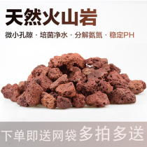 Natural volcanic stone filter fish tank pudge bottom filter pure volcanic red rock parallel HP purified water to remove impurities