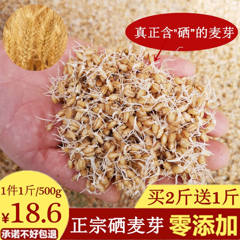 Selenium malt naturally organic malt selenium malt malt has 5 flavor powder 500g Chinese medicine