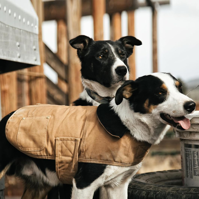 Pet Workwear Dog Jacket Cotton Coat Carhartt Style Dog Coat Durable Oxford Cloth Resistant to Cold Pet Workwear Dog Jacket Cotton Coat Carhartt Style Dog Coat Durable Oxford Cloth Resistant to Cold