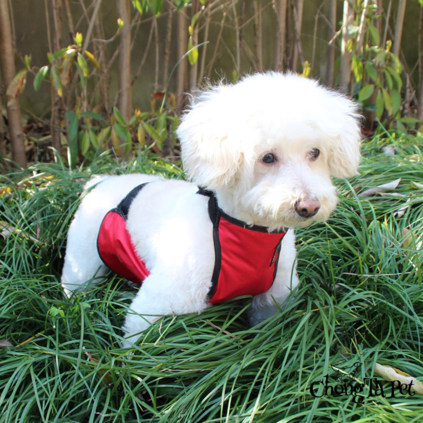 Kirky Dog Bib Hood Dog Tread Guard Belly anti-dirty apron Pets Waterproof Belly pockets Fou Teddy apron protection